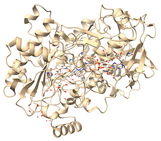 Biofurious - Homepage